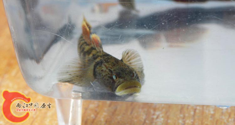 DSCN3070.JPG