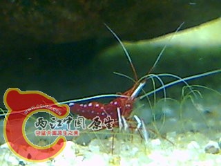 图像022.jpg