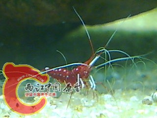 图像023.jpg