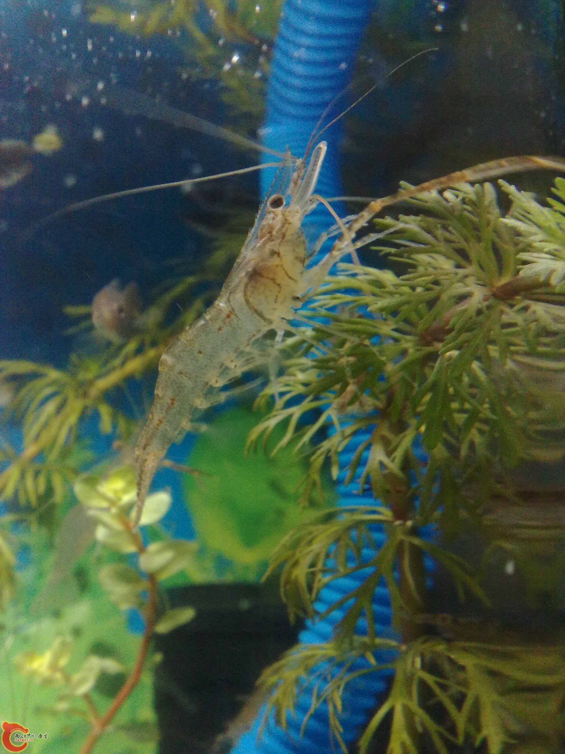 20101212562.jpg