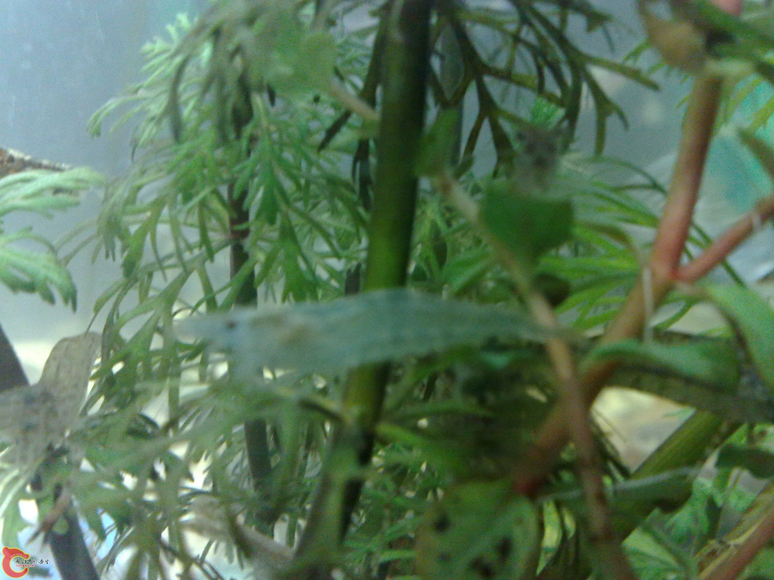 20101219611.jpg