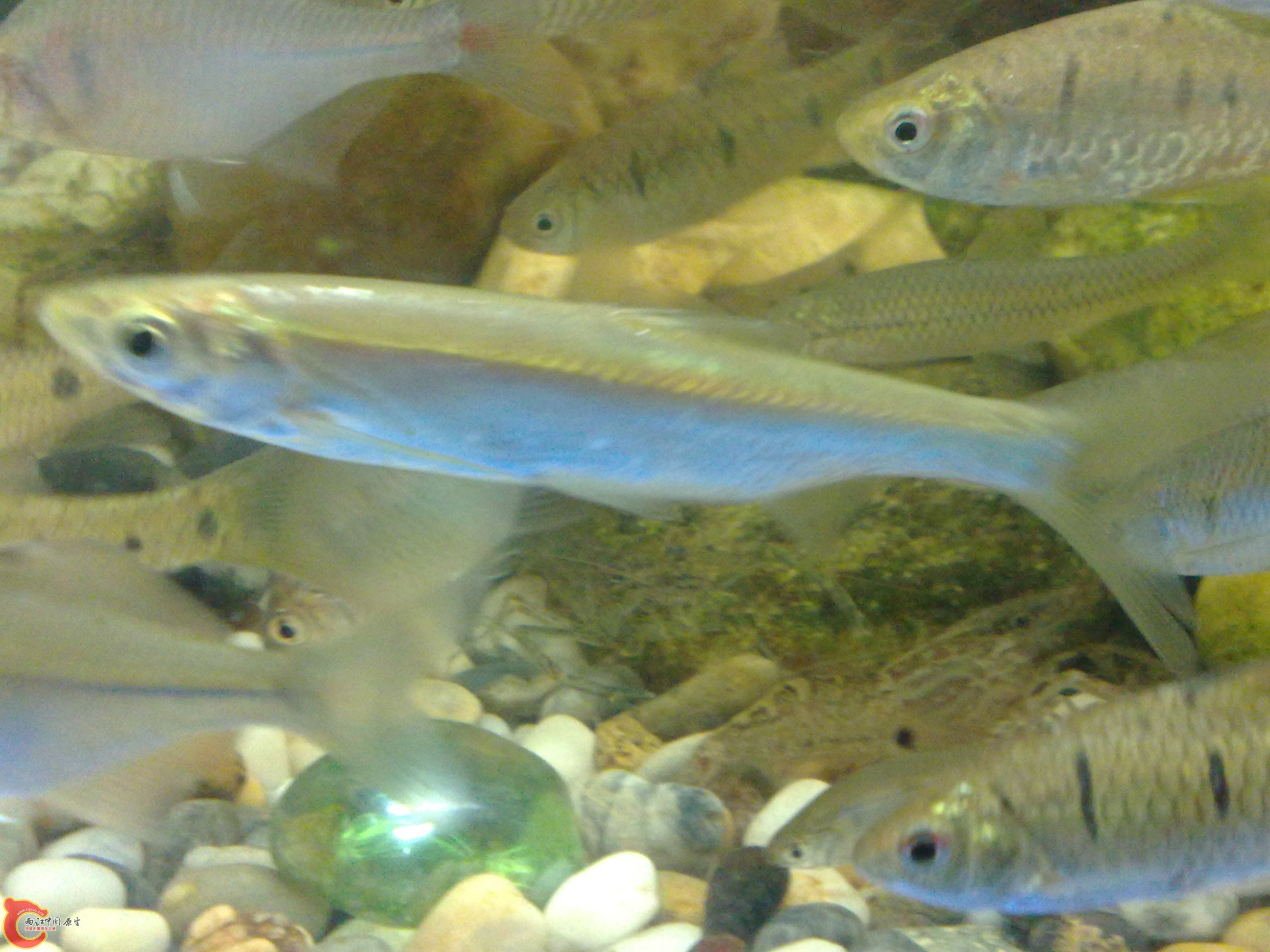 20101219617.jpg