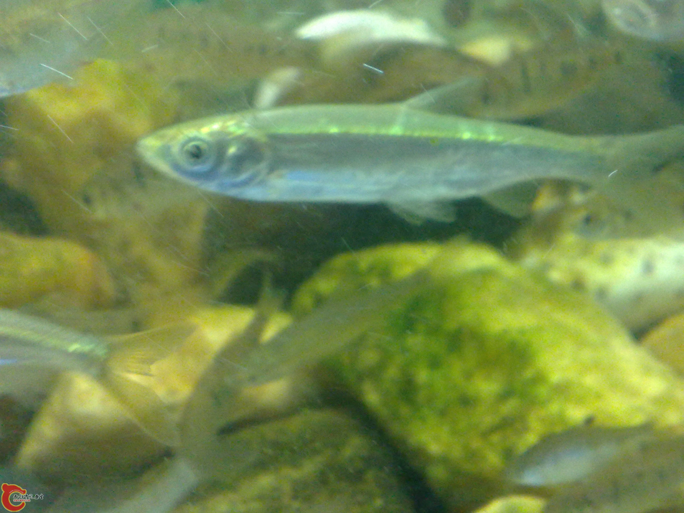 20101219618.jpg