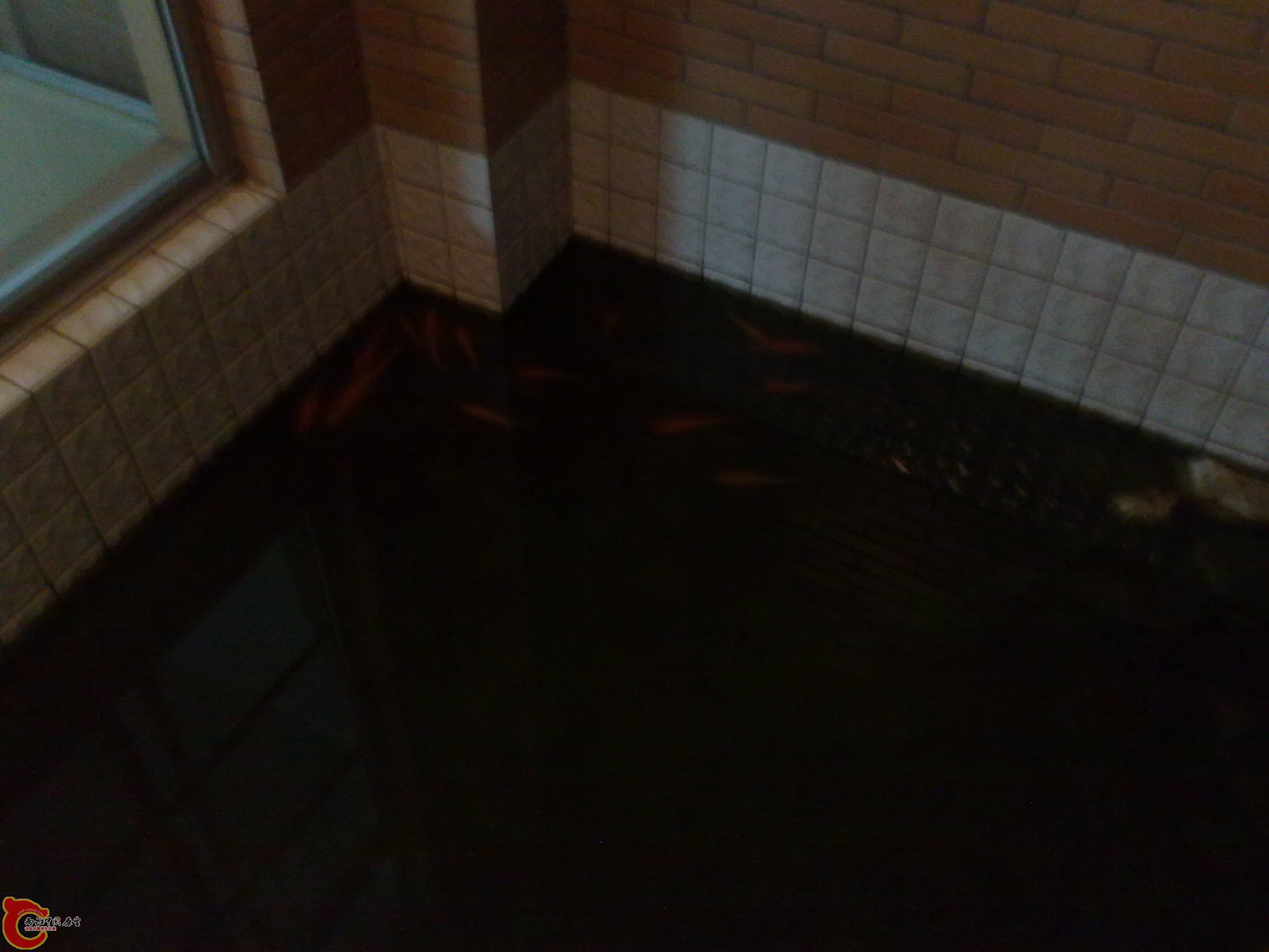 20101219626.jpg