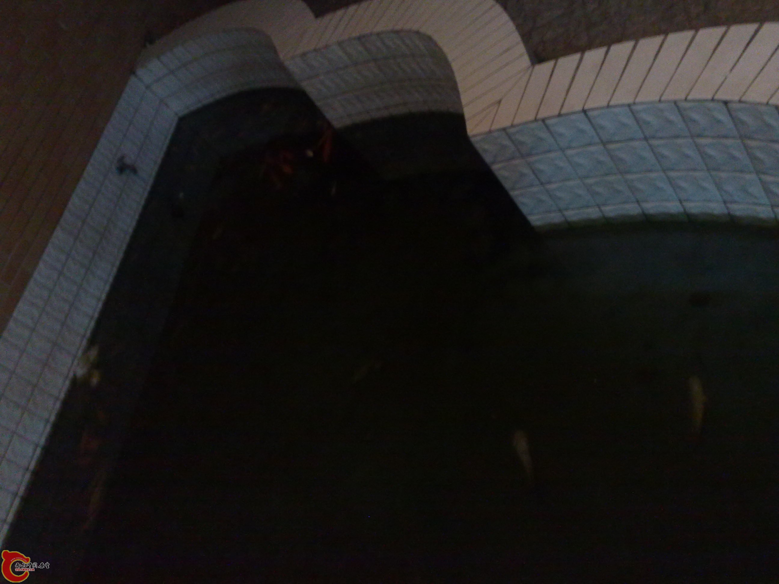 20101219625.jpg
