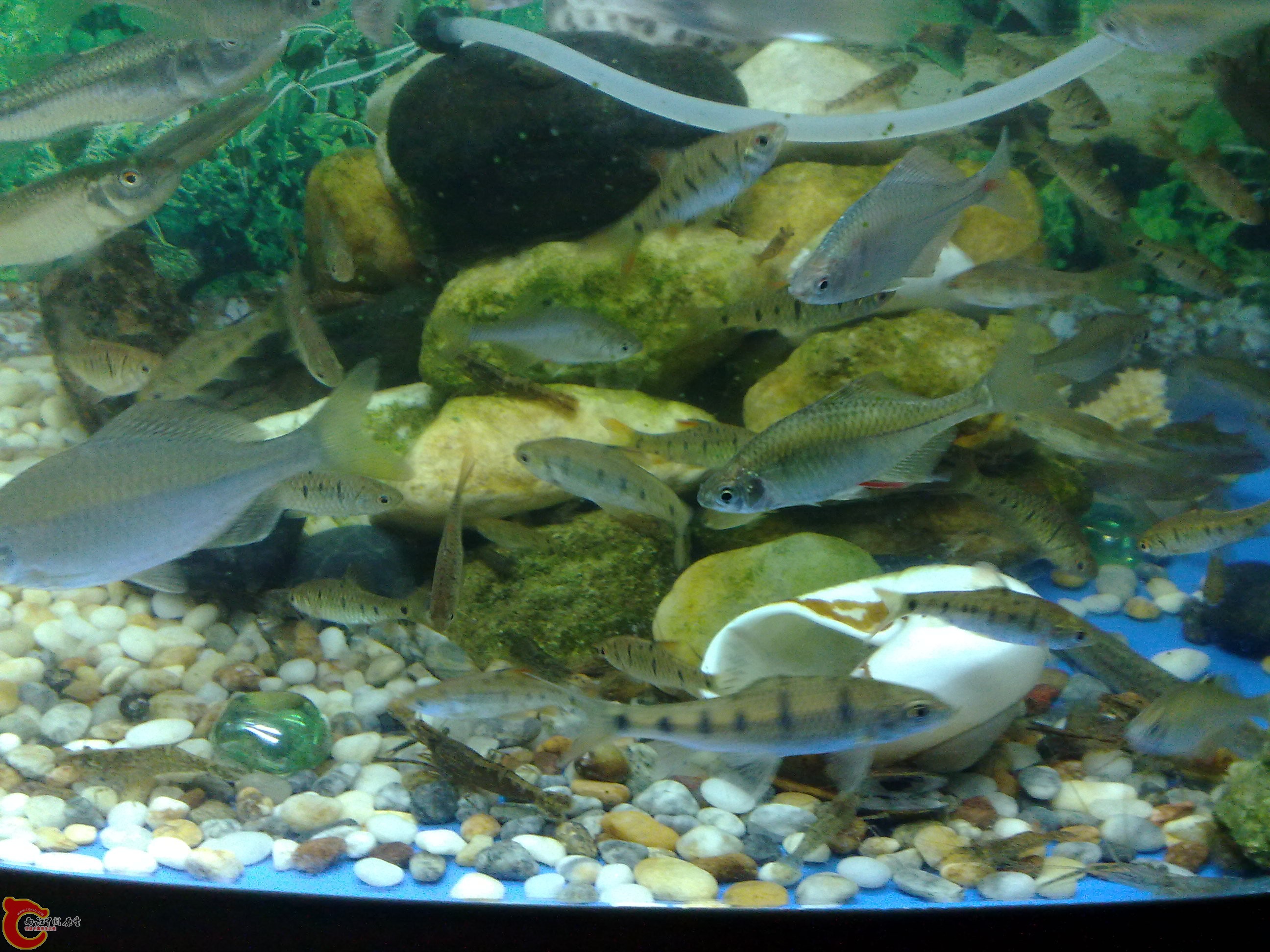 20101212566.jpg