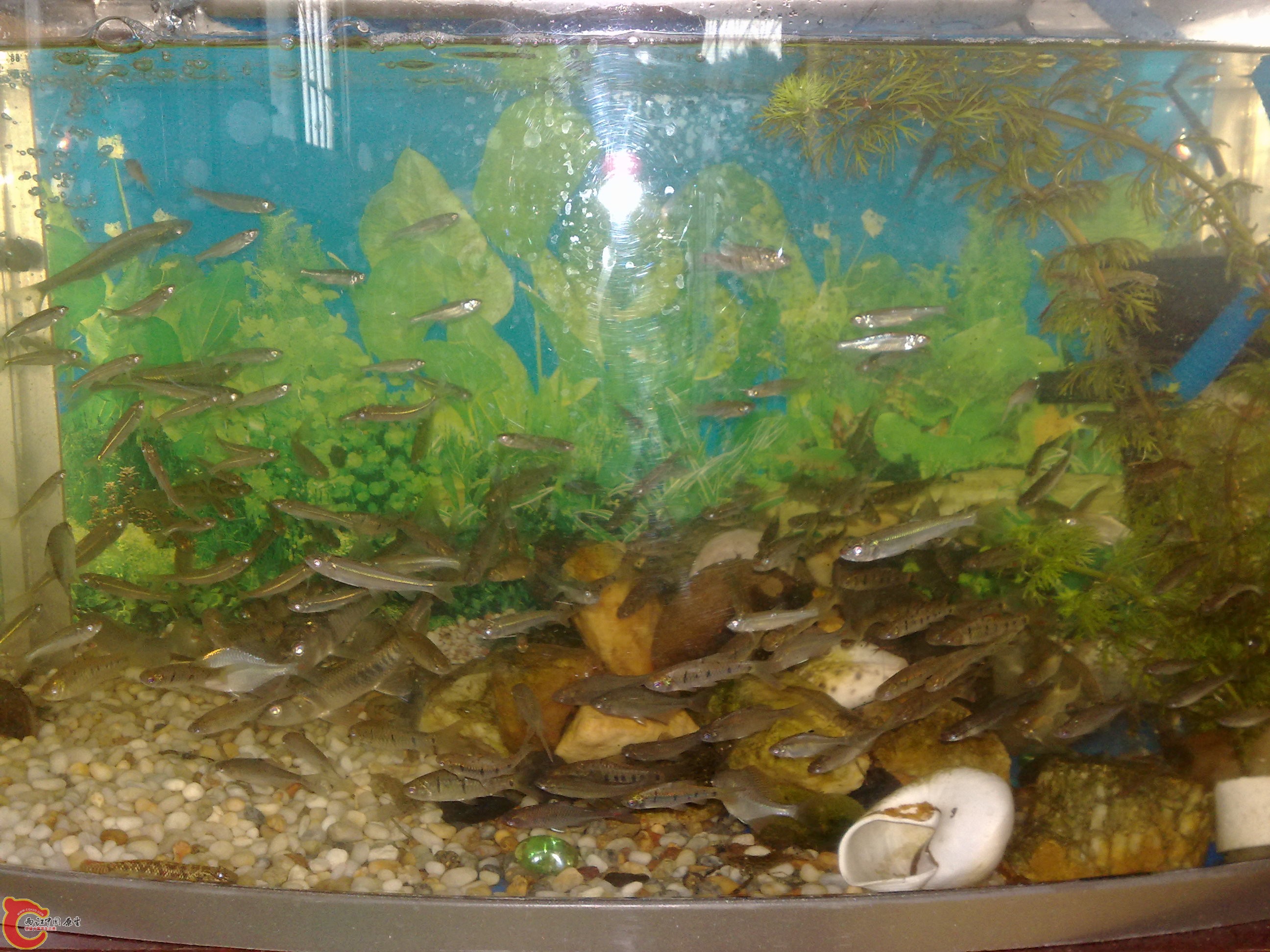 20101219593.jpg