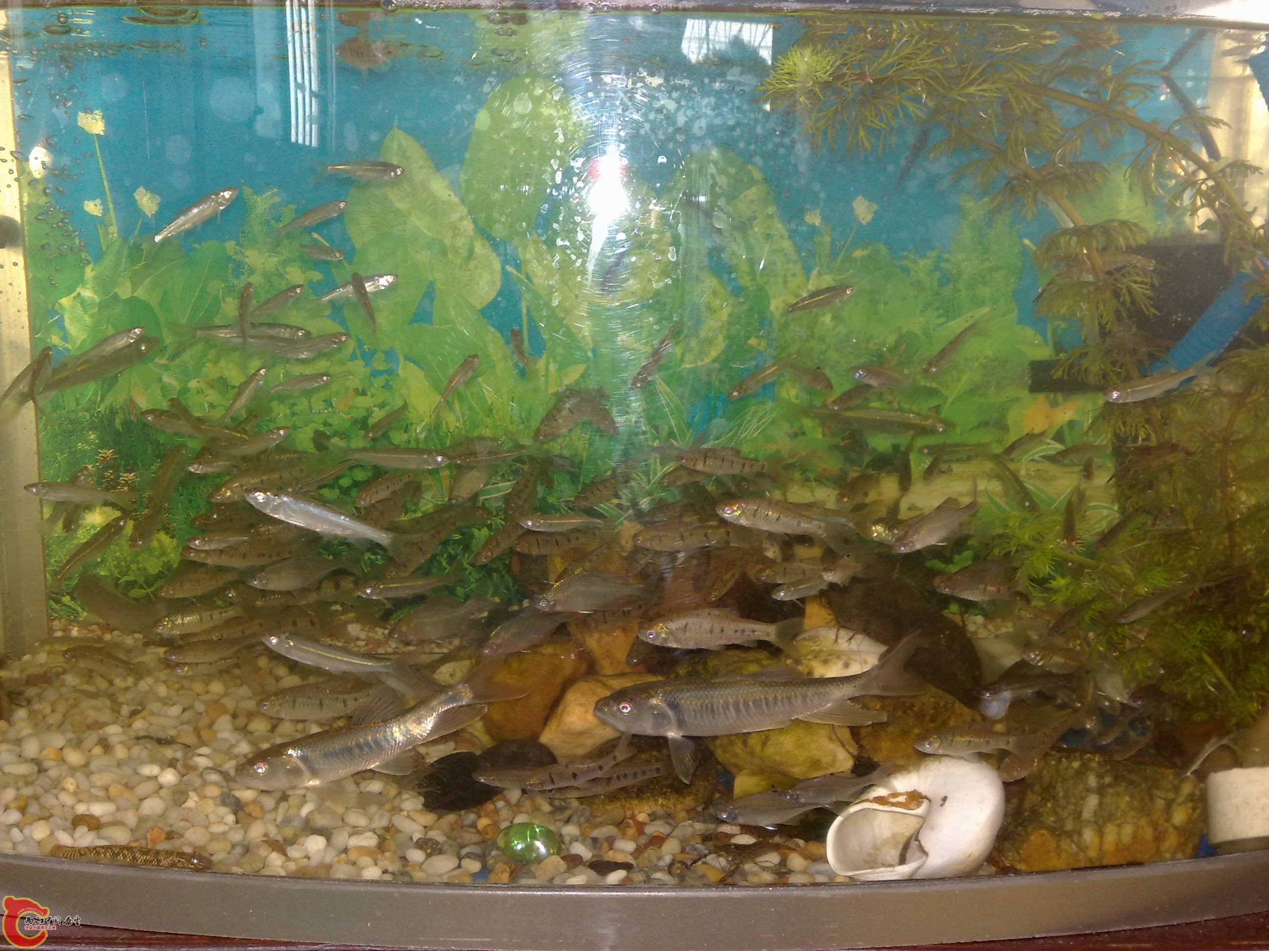 20101219594.jpg