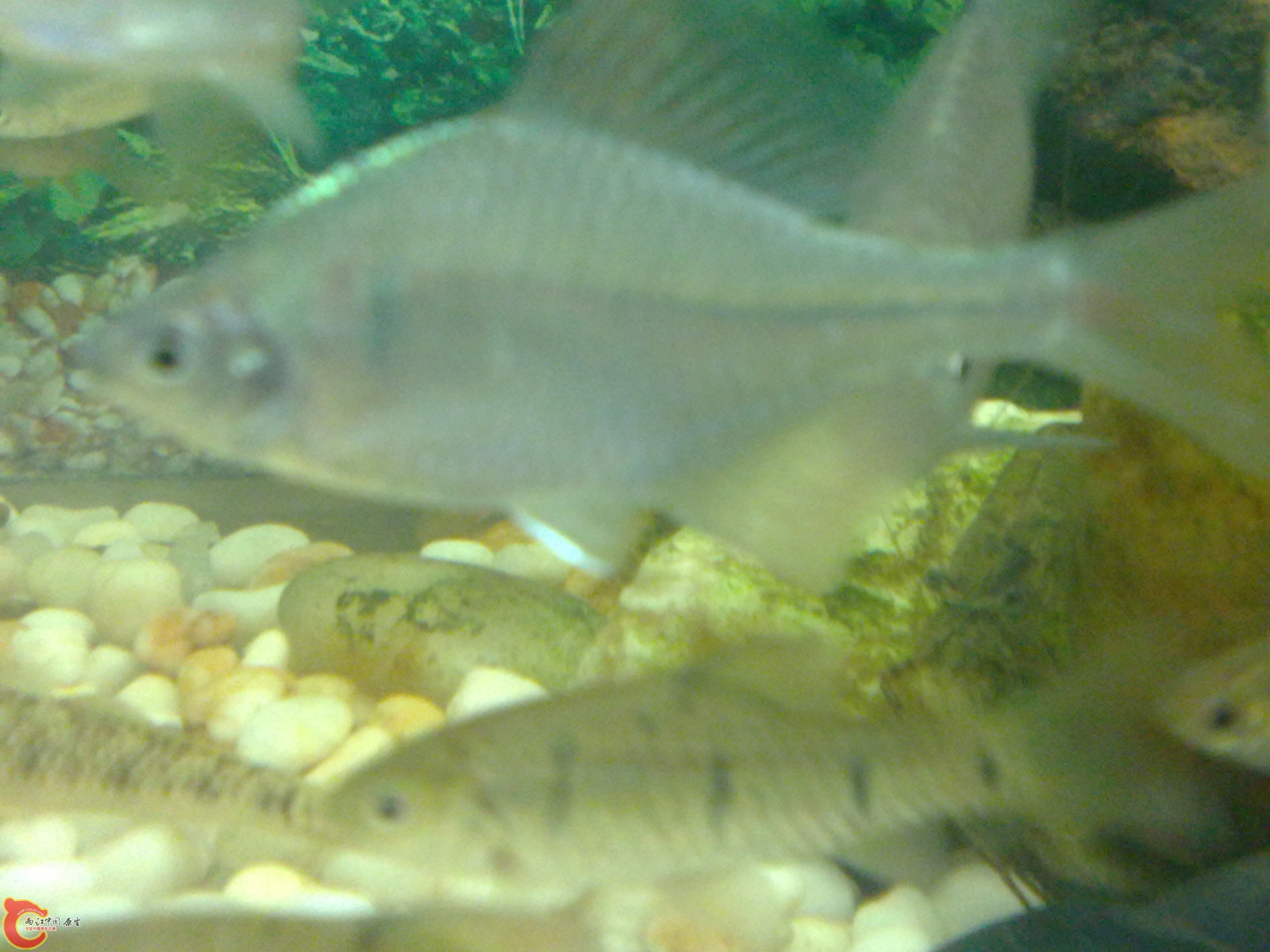 20101219615.jpg