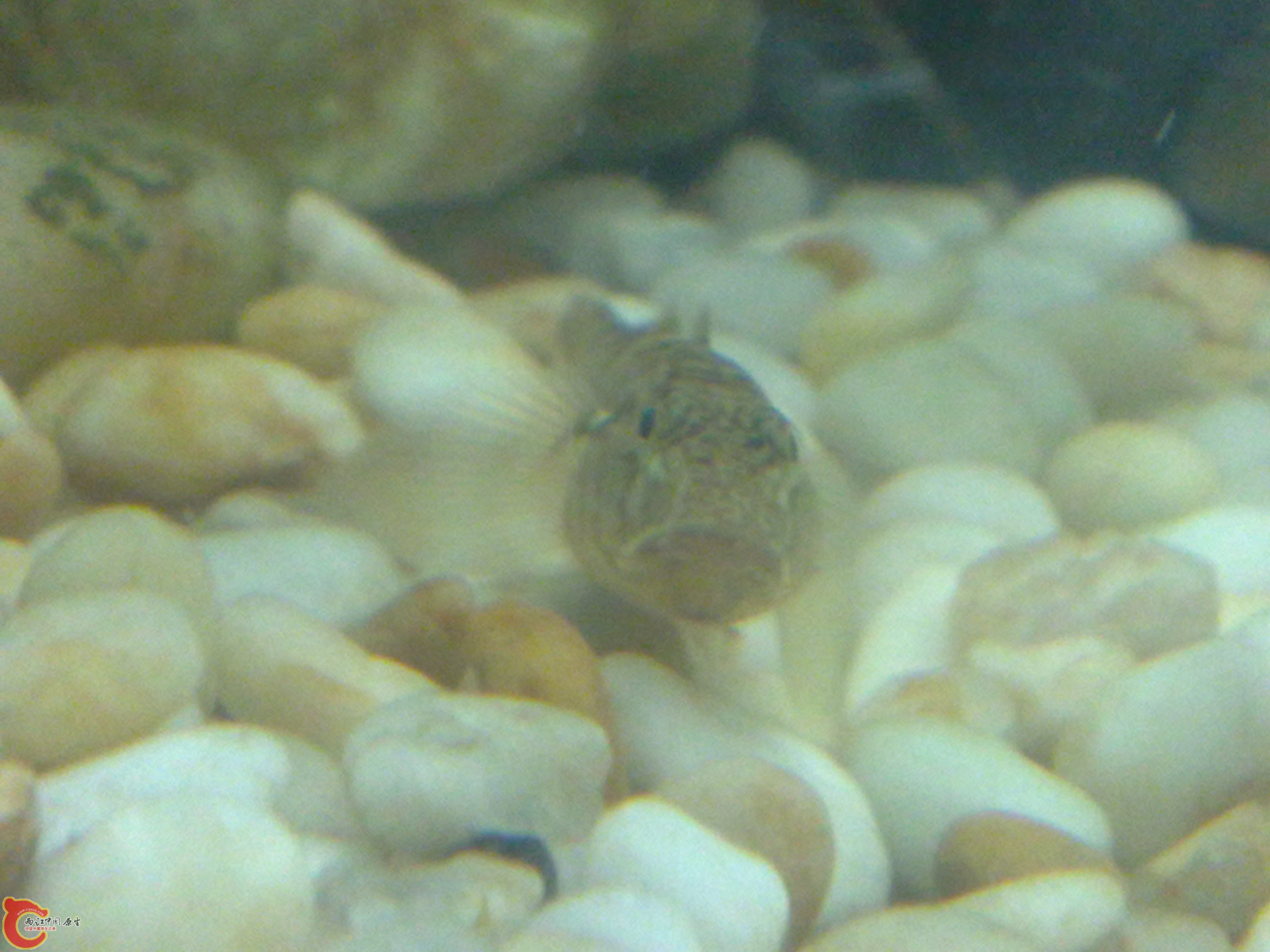 20101219612.jpg