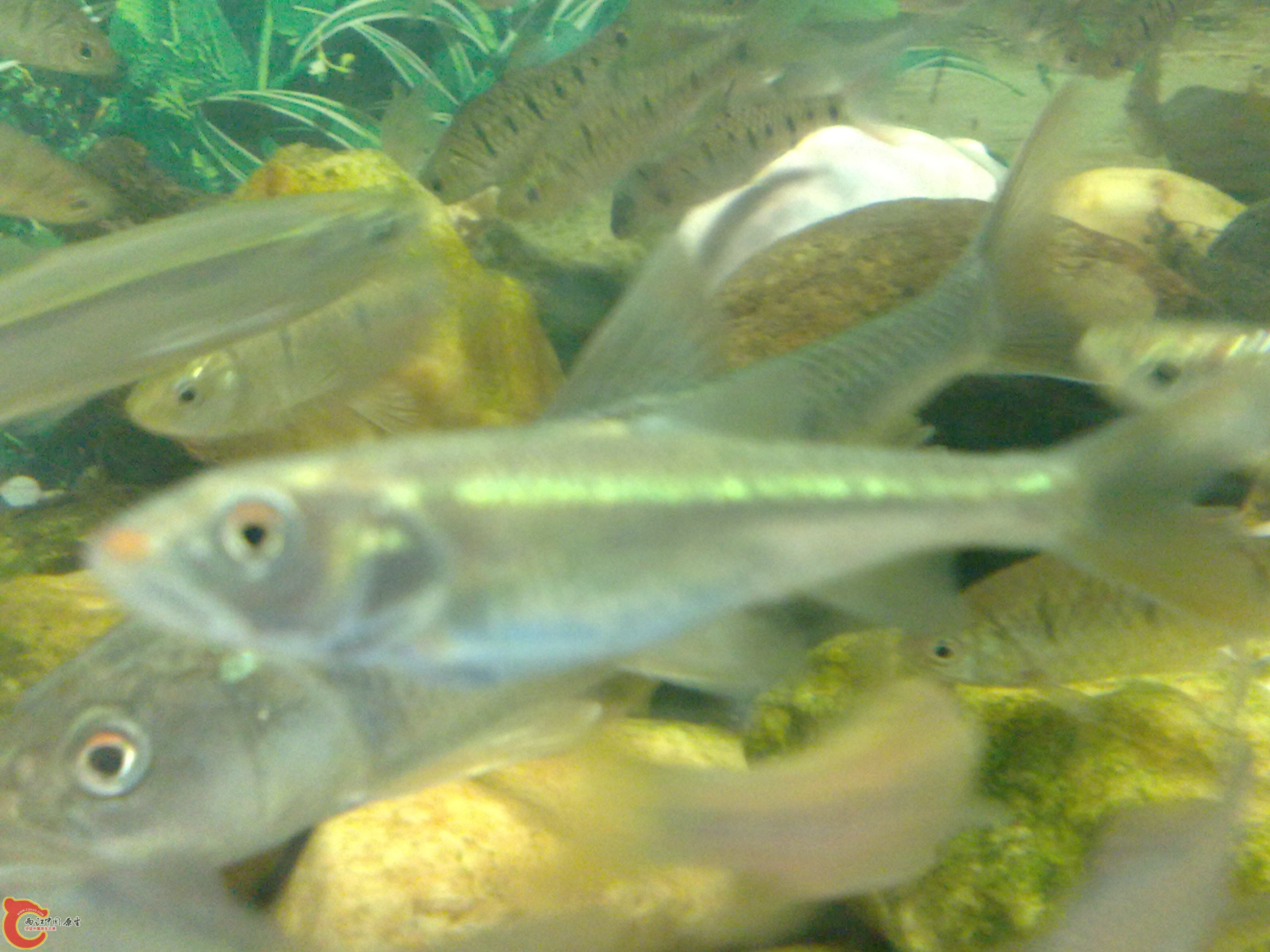 20101219616.jpg