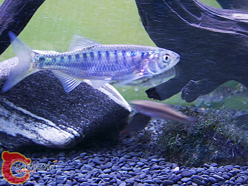 100_5740.jpg