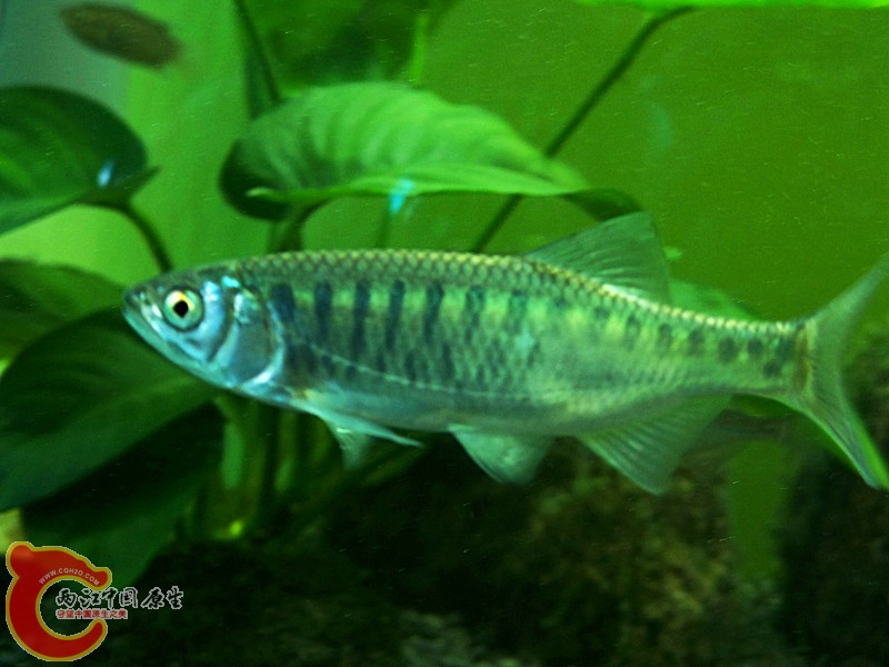 100_5800.jpg