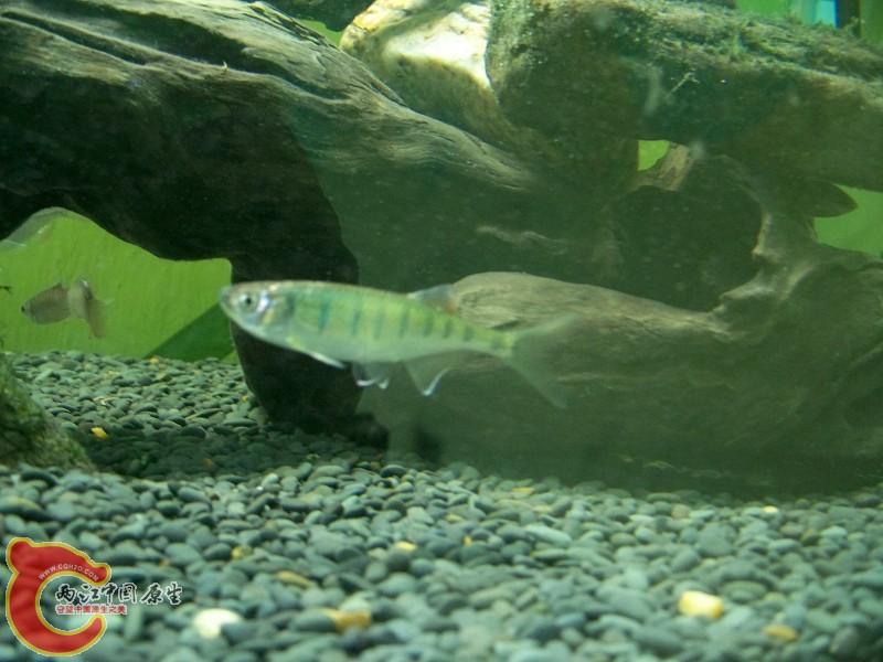 100_5811.jpg