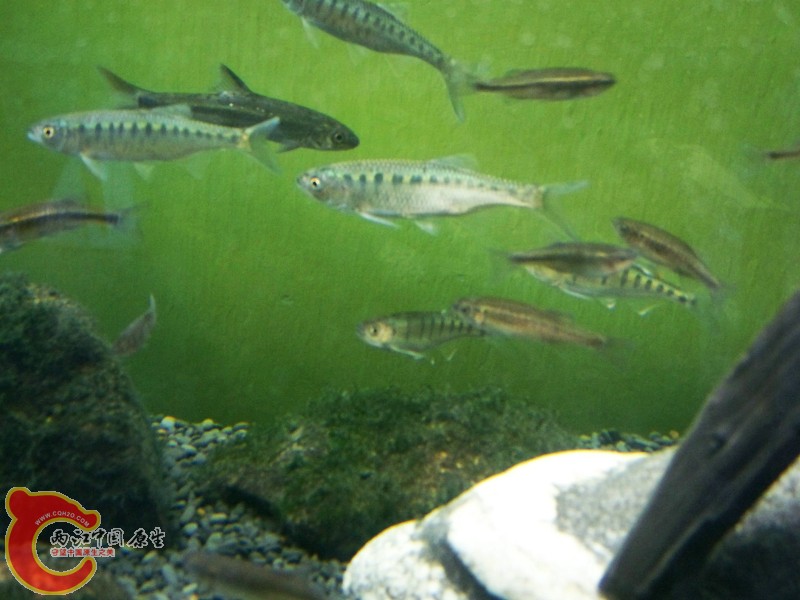 100_5819.jpg