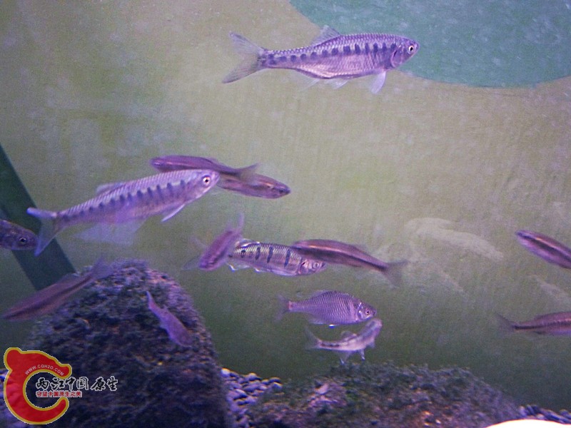 100_5820.jpg