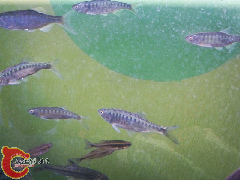 100_5821.jpg