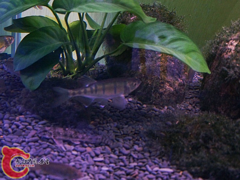 100_5823.jpg
