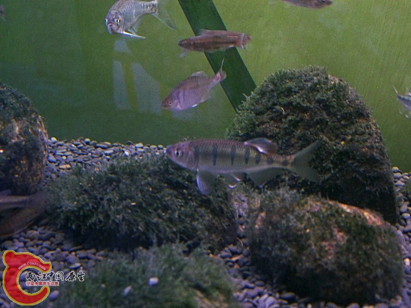 100_5825.jpg