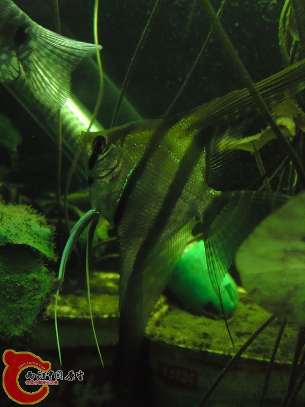 P24-12-10_18.44.jpg