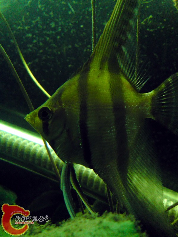 P24-12-10_19.50.jpg