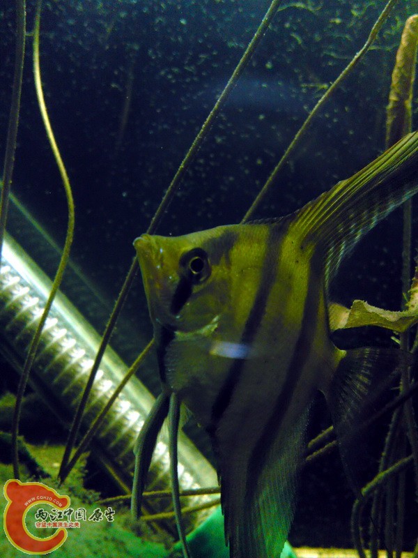 P24-12-10_19.53.jpg