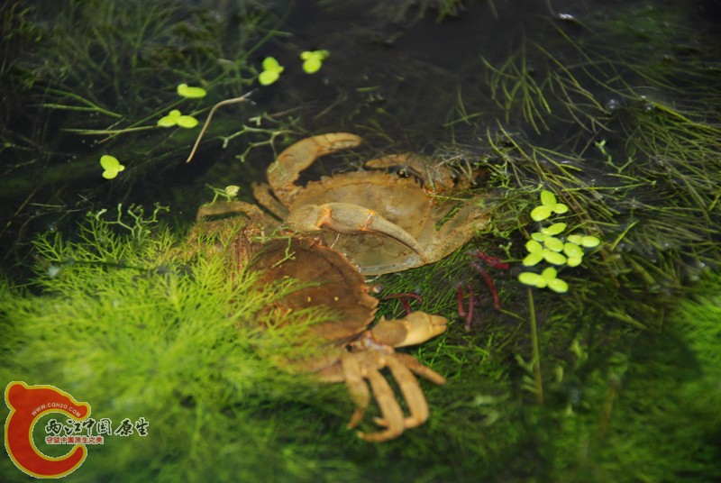 DSC_0326.JPG