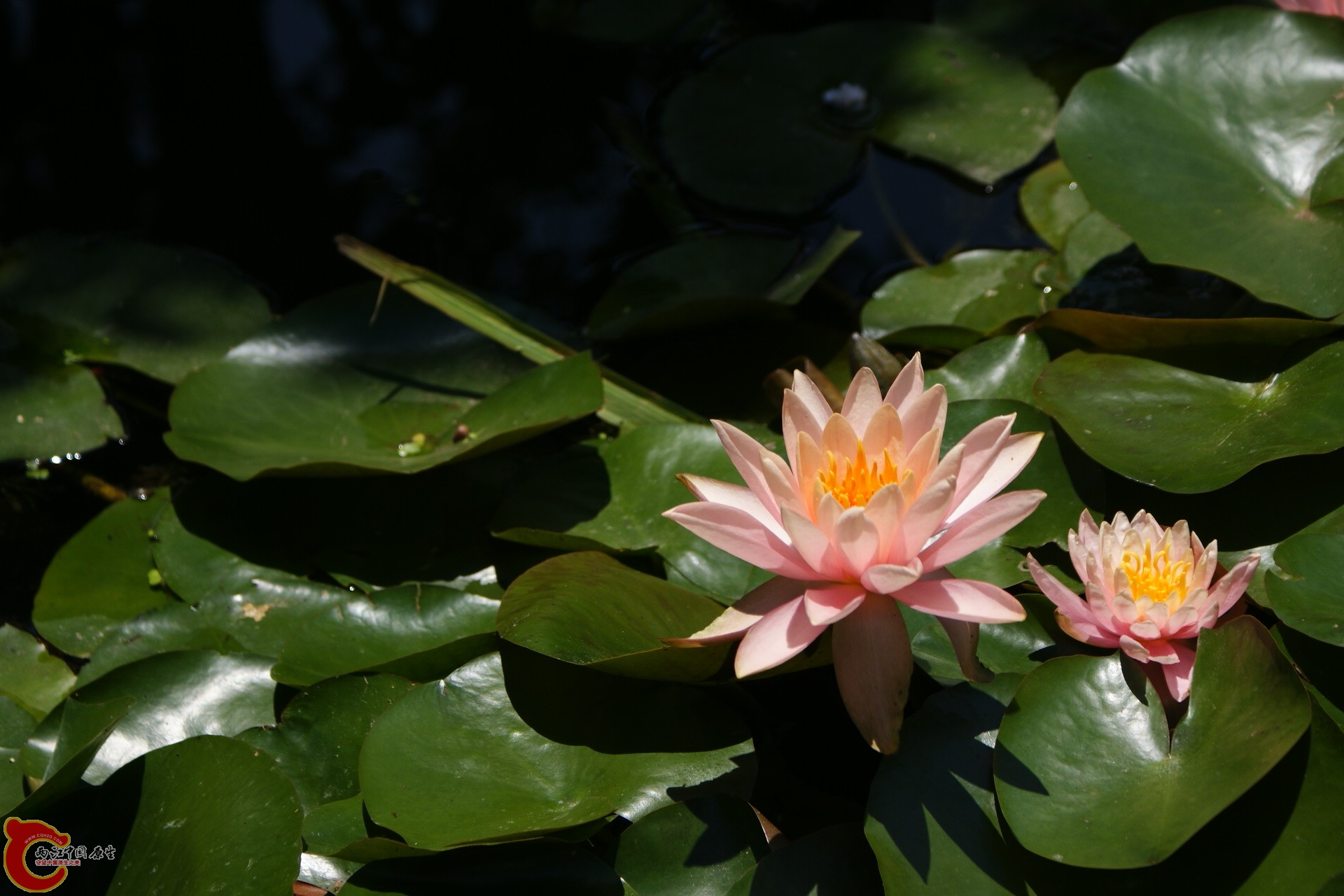 DSC09030.JPG