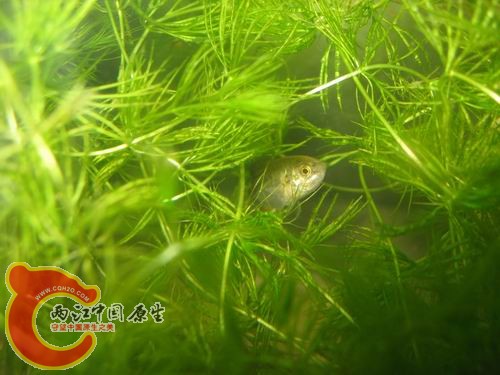 照片 263.jpg