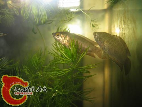 照片 259.jpg
