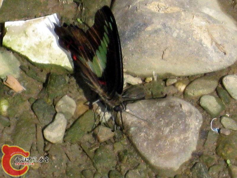 照片 043.jpg