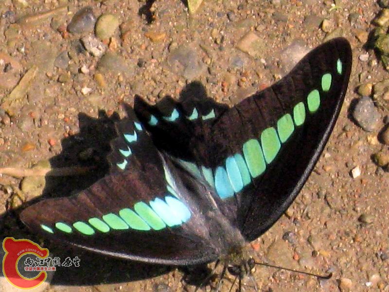 照片 044.jpg