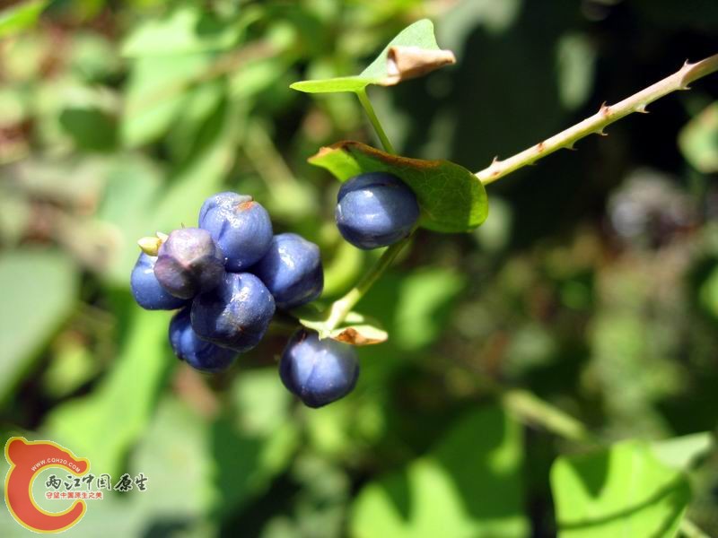 照片 040.jpg