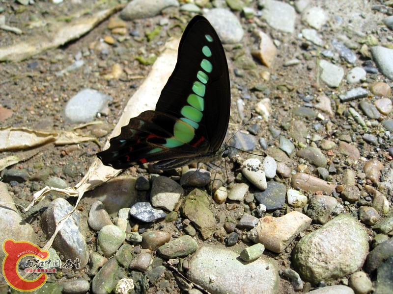 照片 046.jpg