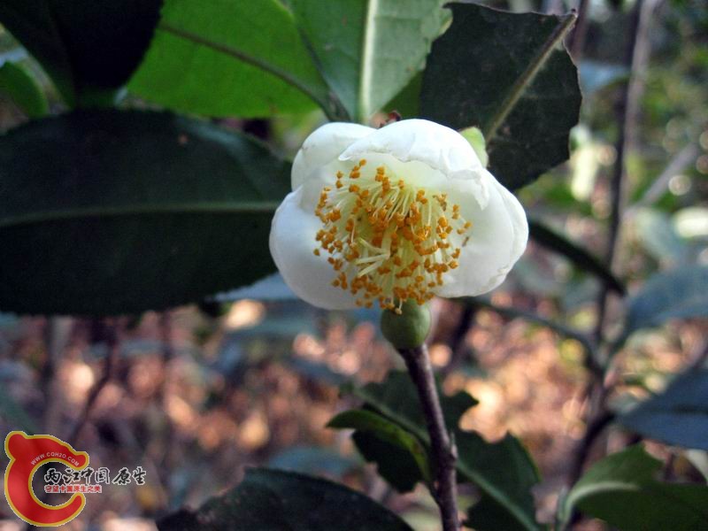 照片 086.jpg
