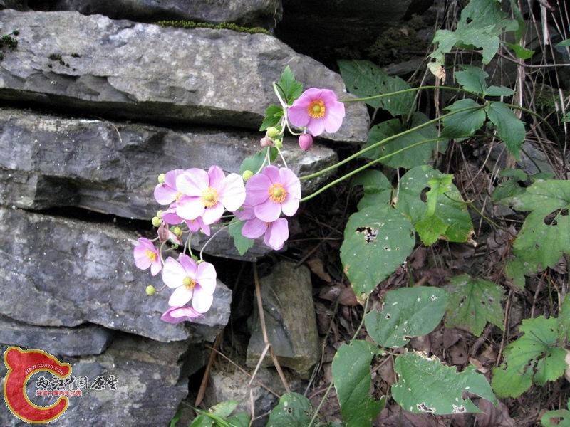照片 091.jpg