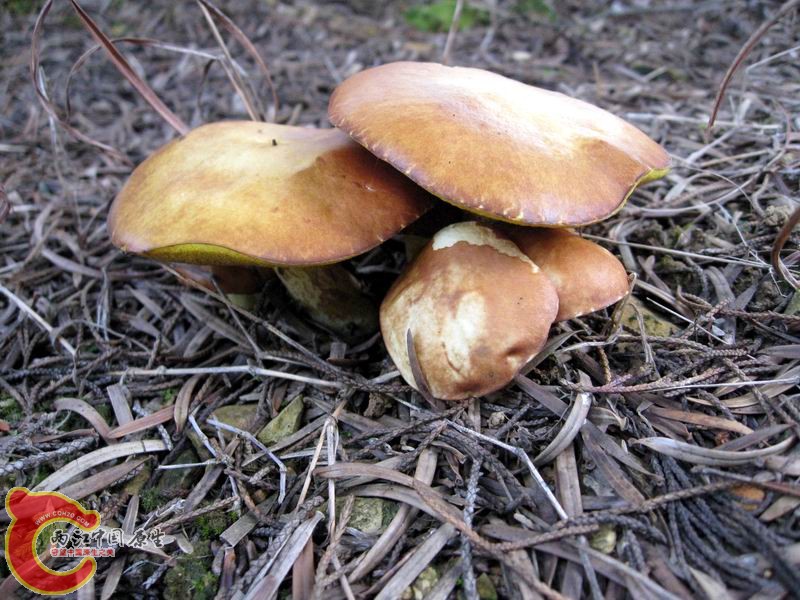 照片 099.jpg