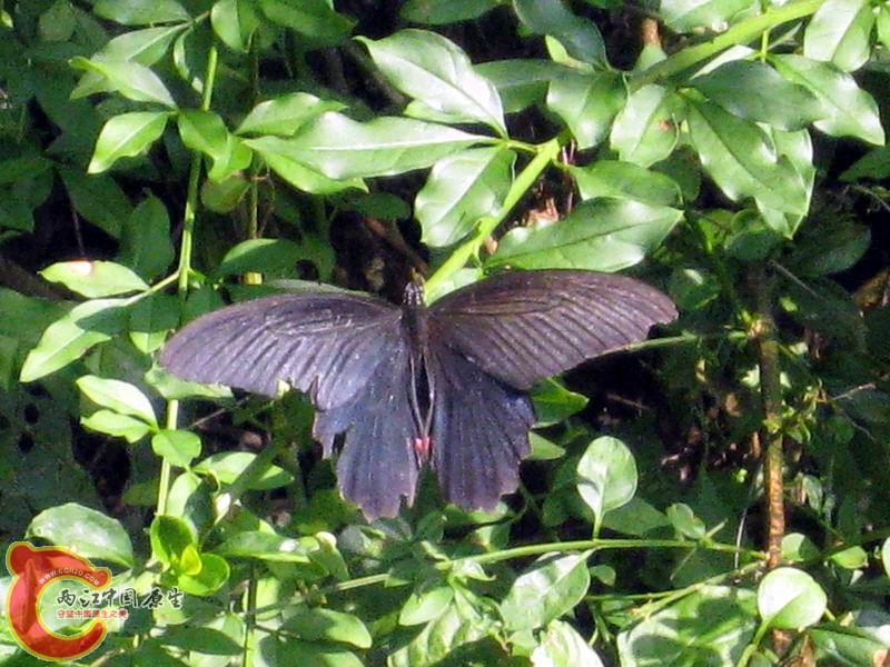 照片 106.jpg