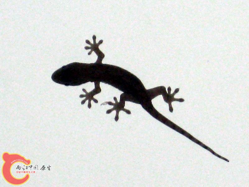 照片 117.jpg
