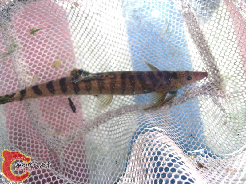 照片 039.jpg