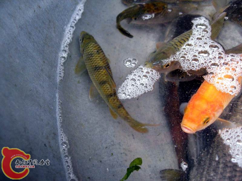 照片 065.jpg