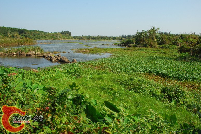 湿地.jpg