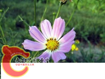 09061420199d7836fdc7b760bb.jpg