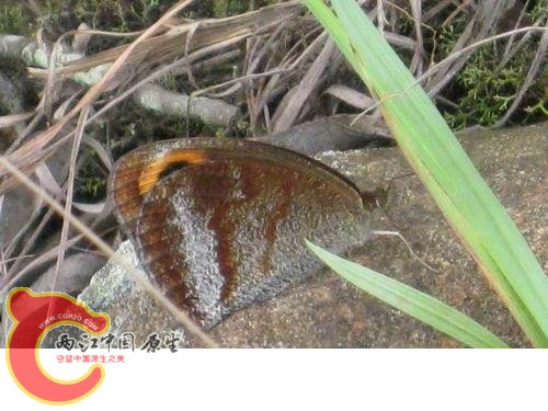 20080821_7b42697332b84ba8a5e2DQAAW8Hlyi1z.jpg 20080821_7b42697332b84ba8a5e2DQAAW8Hlyi1z.jpg