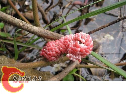 20080821_0ec48aa370a25f4c60a7Q6hLNZB7RmT9.jpg 20080821_0ec48aa370a25f4c60a7Q6hLNZB7RmT9.jpg