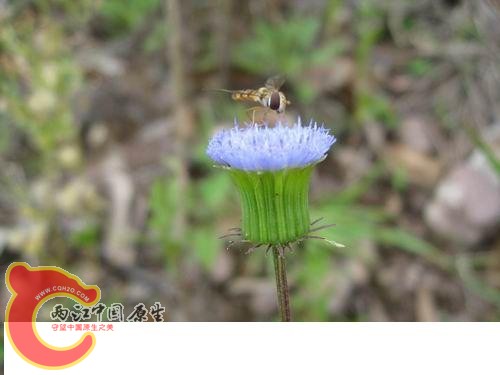 20080821_a7732c9c8d779315290a71FPHeBJFcVK.jpg 20080821_a7732c9c8d779315290a71FPHeBJFcVK.jpg