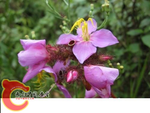 20080821_aacfdc4872f90f9cfc90JjLqDhJ6AfOv.jpg 20080821_aacfdc4872f90f9cfc90JjLqDhJ6AfOv.jpg