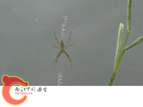 20080821_13fc2bd76562ed28b9a0m6S2Fgtk5x2d.jpg 20080821_13fc2bd76562ed28b9a0m6S2Fgtk5x2d.jpg