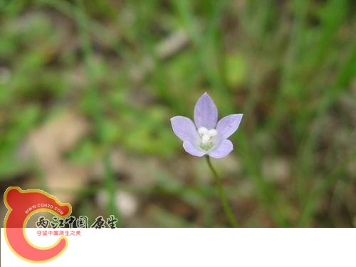 20080821_c8050bb111d5858bee17BYMDqOCNpkrz.jpg 20080821_c8050bb111d5858bee17BYMDqOCNpkrz.jpg