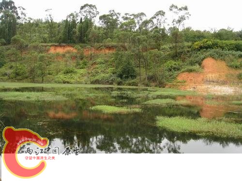 20080821_22a2001397fb40caa18dKbWbbX9WFDnS.jpg 20080821_22a2001397fb40caa18dKbWbbX9WFDnS.jpg